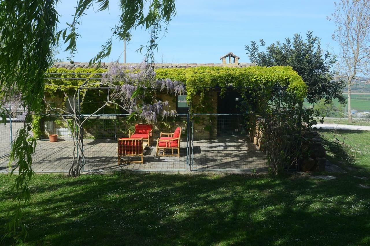 Corridonia Casa Nenellaヴィラ エクステリア 写真